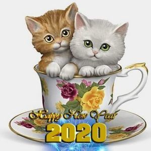 Meet your Posher, Caridad